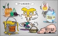 食品安全檢測儀在現(xiàn)實中發(fā)揮著哪些作用？